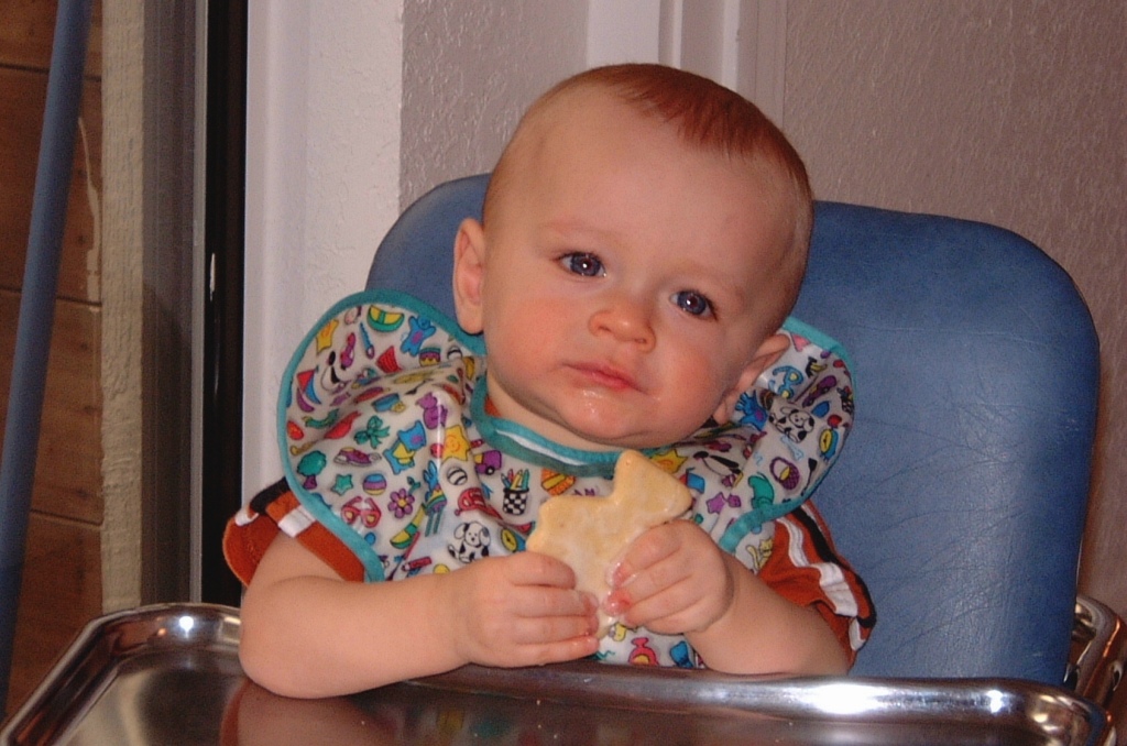 Hildebrand Christmas ScreenSaver/1024x768_2000-12-20 Vale More Cookies.jpg